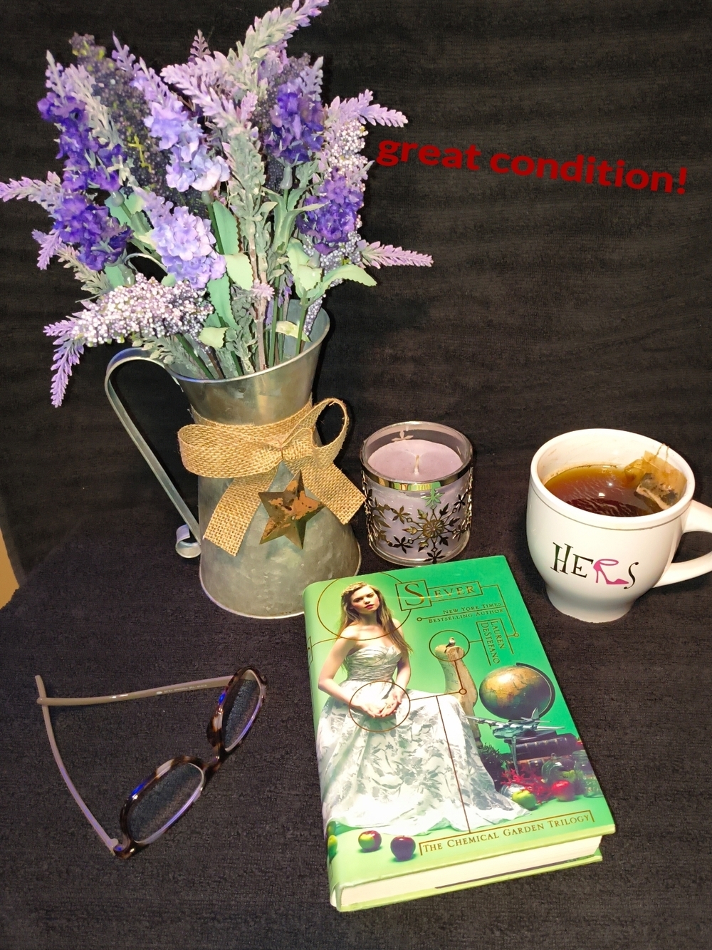 Sever," the final book in The Chemical Garden Trilogy by Lauren DeStefano. 